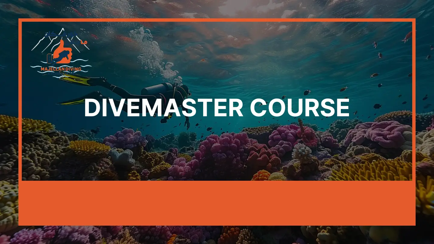 Divemaster Course in Khorfakkan