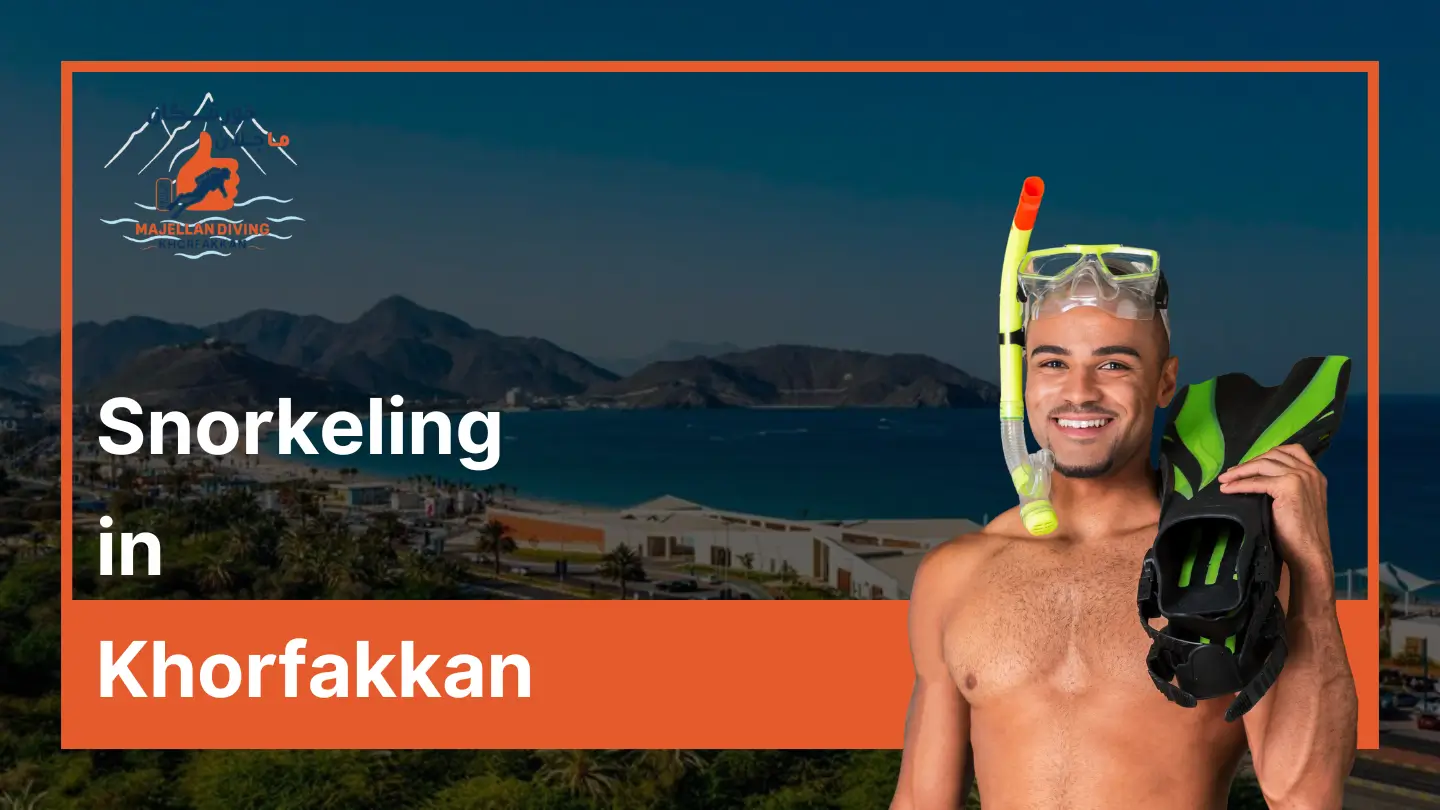 Snorkeling in Khorfakkan