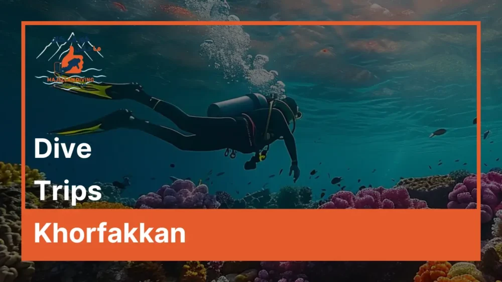 Dive Trip
